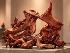 Dancing Root